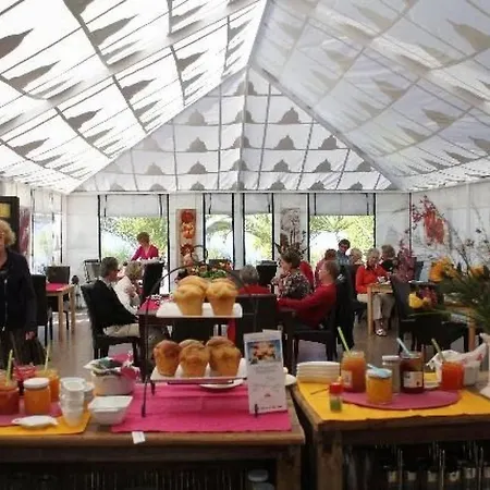Hochwertig Ausgestattete Mariposa By Interhome Lejlighed Guía de Isora